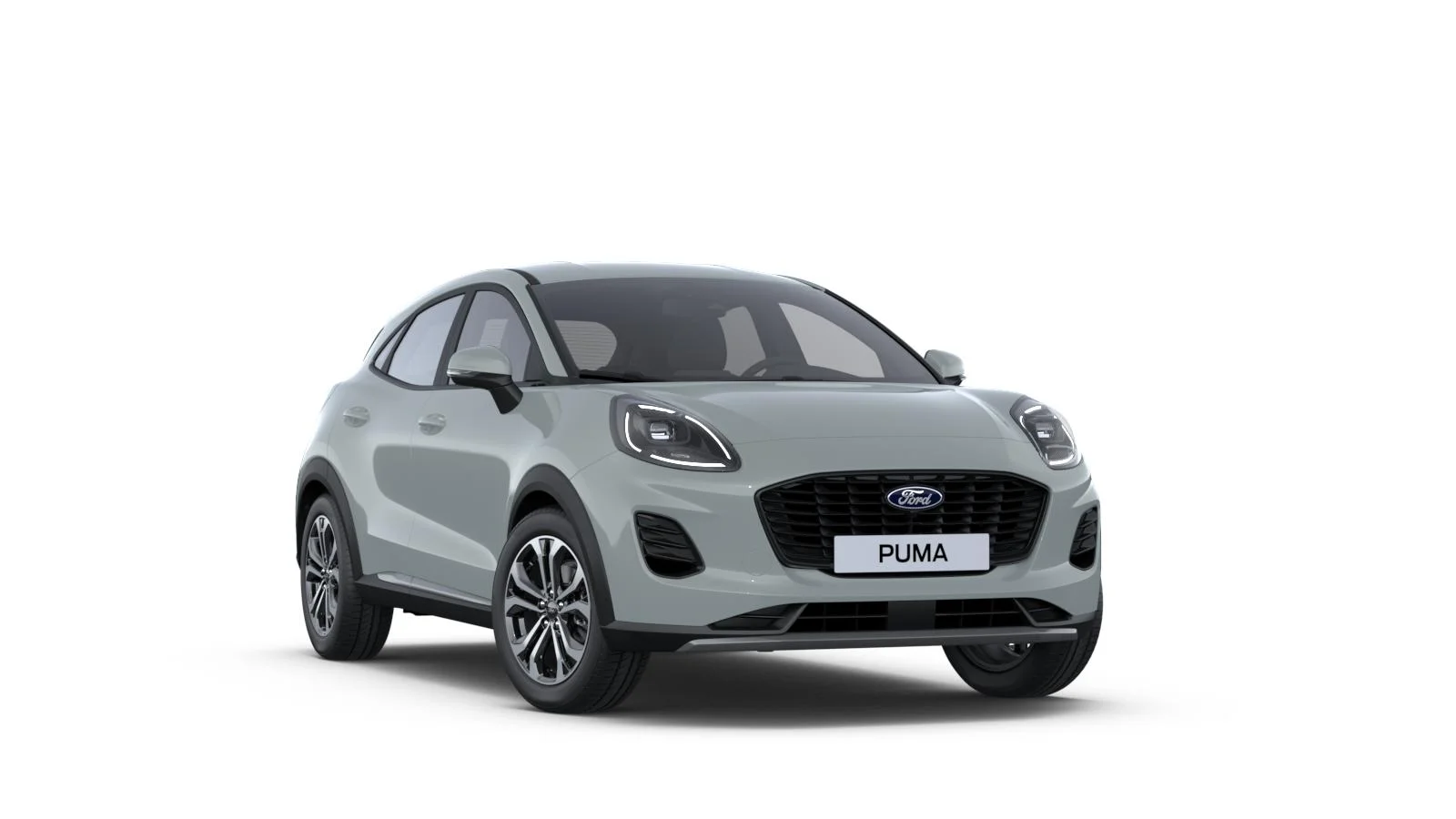 Ford Puma - Cactus Gray